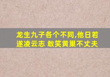 龙生九子各个不同,他日若遂凌云志 敢笑黄巢不丈夫